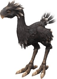 Black Chocobo