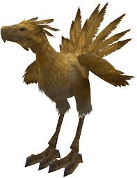 Brown Chocobo