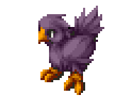 Purple Chocobo